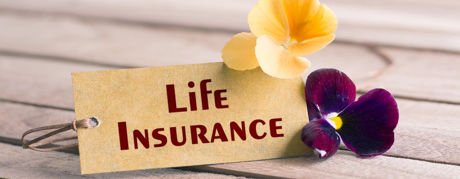 Life Insurance